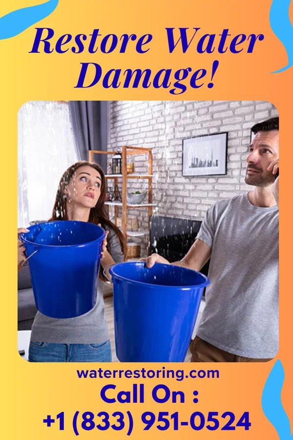 water restoration Southern Water Cleanup Contractors Blenheim