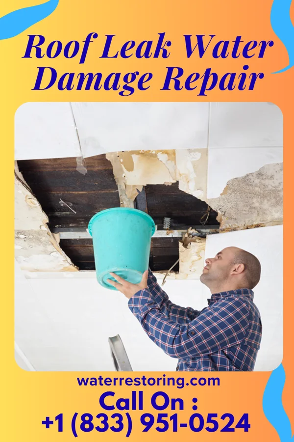 Roof Leak Water Damage Repair in Blenheim, SC